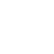 d) Holistic Therapies